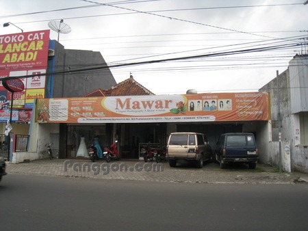 Mawar Foto