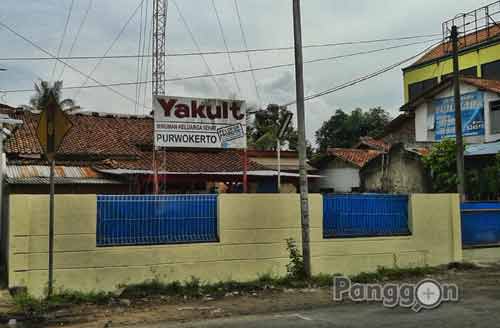 Distributor Yakult Purwokerto